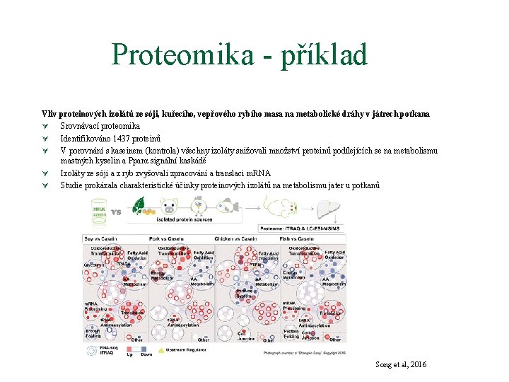 Proteomika - příklad Vliv proteinových izolátů ze sóji, kuřecího, vepřového rybího masa na metabolické