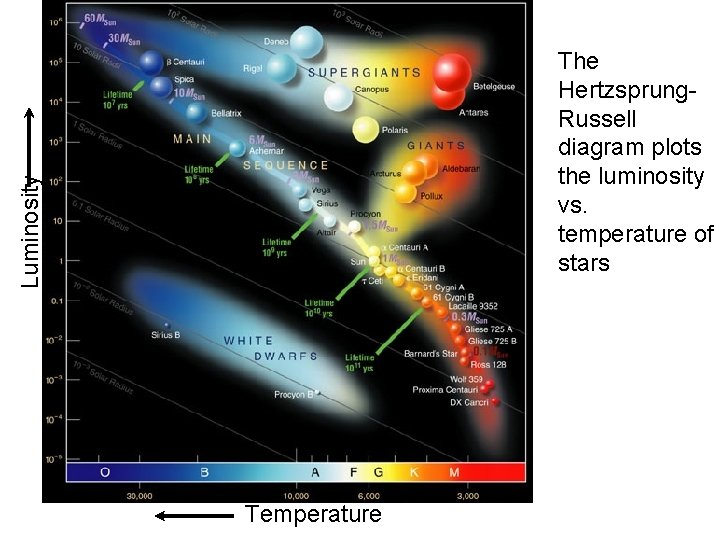 Luminosity The Hertzsprung. Russell diagram plots the luminosity vs. temperature of stars Temperature 
