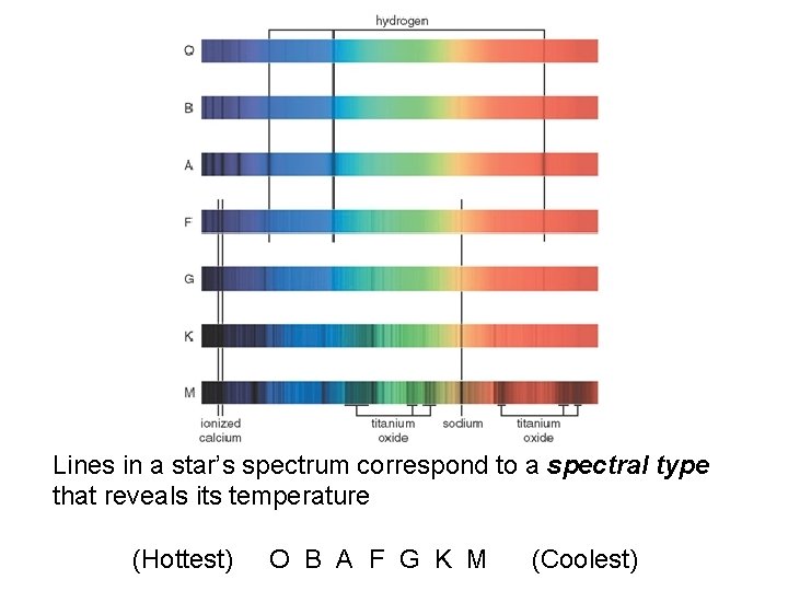 Lines in a star’s spectrum correspond to a spectral type that reveals its temperature