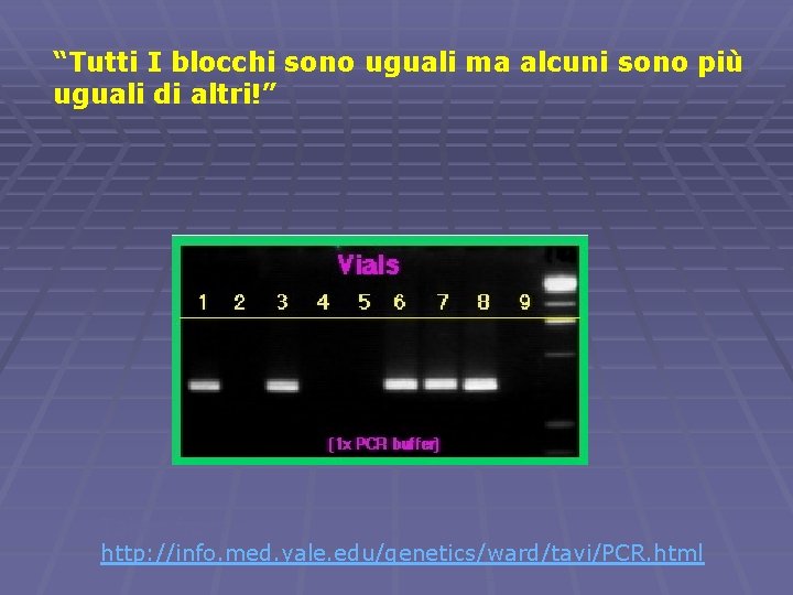 “Tutti I blocchi sono uguali ma alcuni sono più uguali di altri!” Taken from