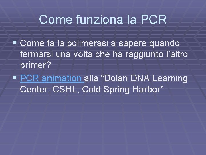 Come funziona la PCR § Come fa la polimerasi a sapere quando fermarsi una