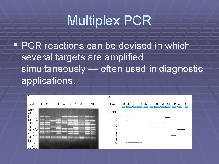 Multiplex PCR § PCR reactions can be devised in which several targets are amplified