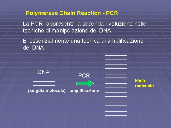 Polymerase Chain Reaction - PCR La PCR rappresenta la seconda rivoluzione nelle tecniche di