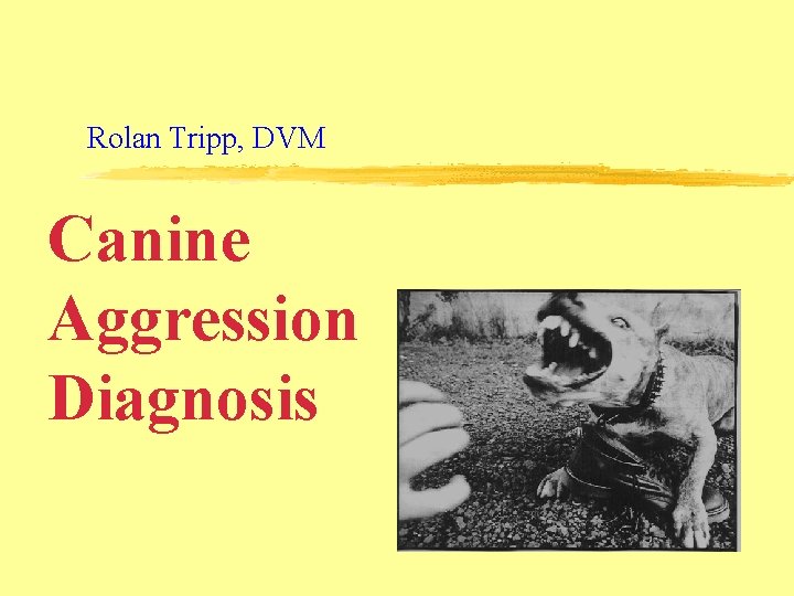 Rolan Tripp, DVM Canine Aggression Diagnosis 