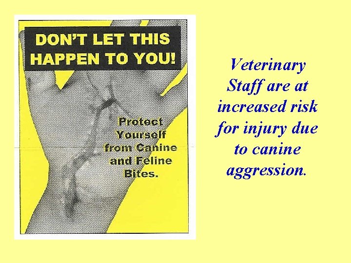 Veterinary Staff are at increased risk for injury due to canine aggression. 