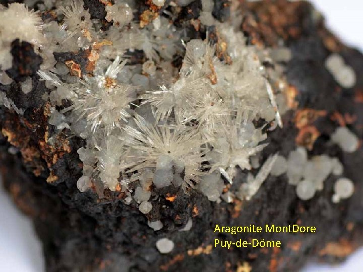 Aragonite Mont. Dore Puy-de-Dôme 