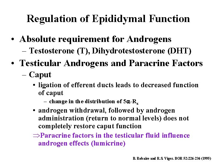Regulation of Epididymal Function • Absolute requirement for Androgens – Testosterone (T), Dihydrotestosterone (DHT)
