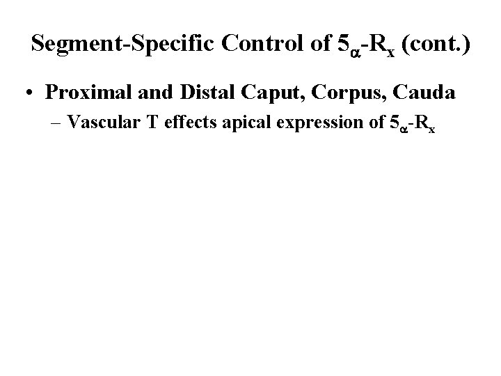 Segment-Specific Control of 5 -Rx (cont. ) • Proximal and Distal Caput, Corpus, Cauda