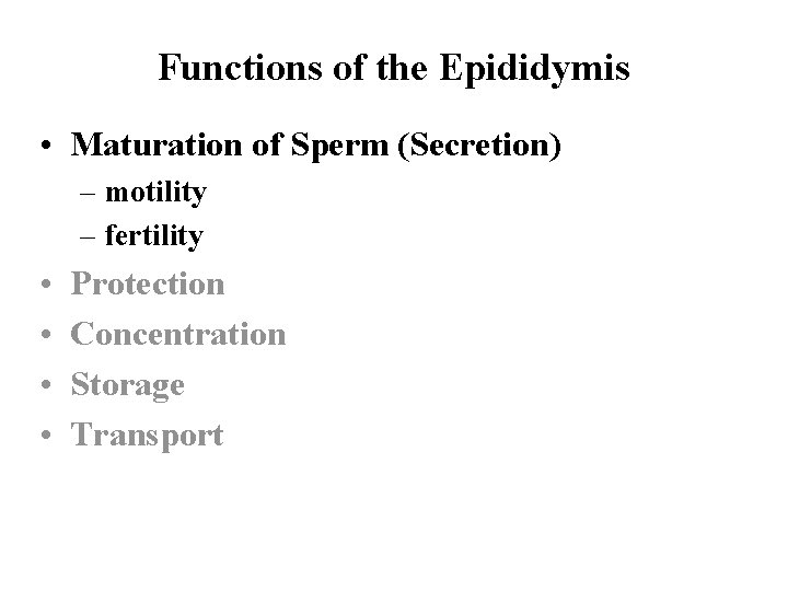 Functions of the Epididymis • Maturation of Sperm (Secretion) – motility – fertility •