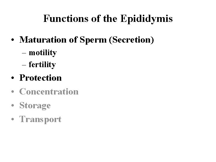Functions of the Epididymis • Maturation of Sperm (Secretion) – motility – fertility •