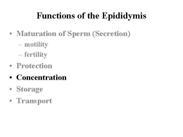 Functions of the Epididymis • Maturation of Sperm (Secretion) – motility – fertility •