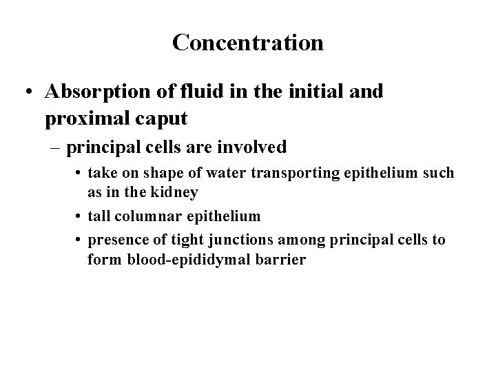 Concentration • Absorption of fluid in the initial and proximal caput – principal cells