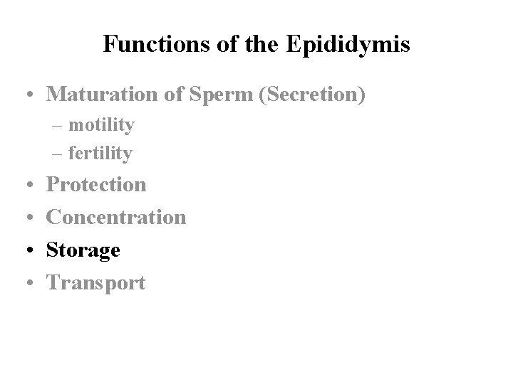Functions of the Epididymis • Maturation of Sperm (Secretion) – motility – fertility •