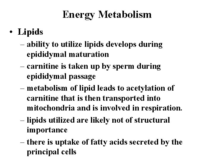 Energy Metabolism • Lipids – ability to utilize lipids develops during epididymal maturation –