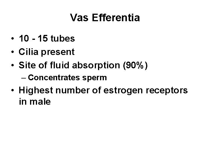 Vas Efferentia • 10 - 15 tubes • Cilia present • Site of fluid