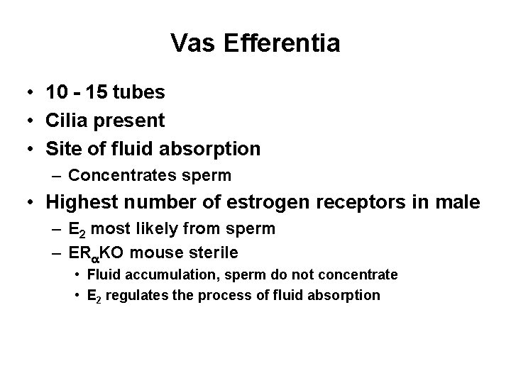 Vas Efferentia • 10 - 15 tubes • Cilia present • Site of fluid