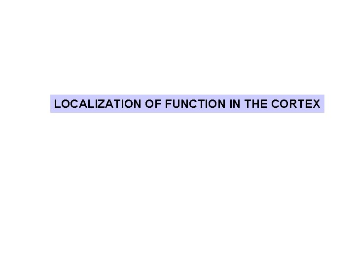 LOCALIZATION OF FUNCTION IN THE CORTEX 