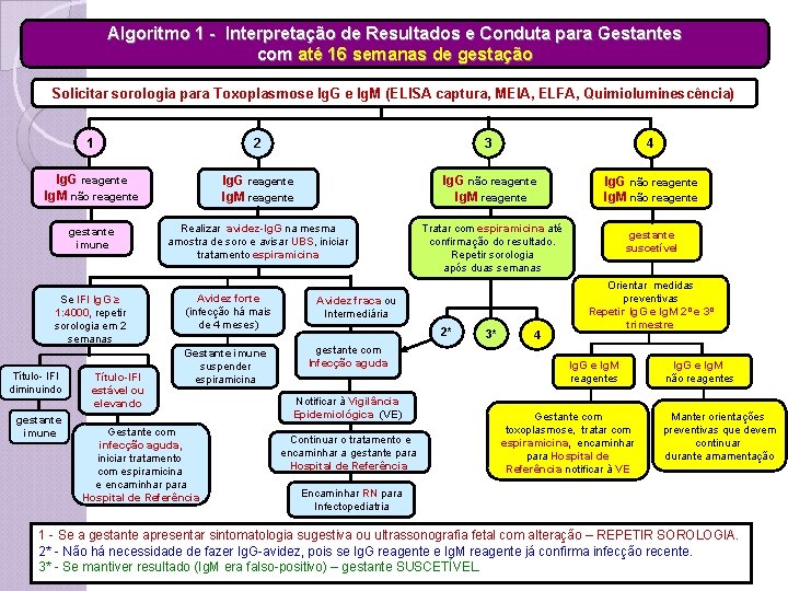 Algoritmo 1 - Interpretação de Resultados e Conduta para Gestantes com até 16 semanas