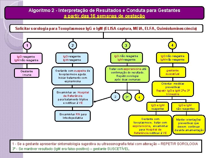 Algoritmo 2 - Interpretação de Resultados e Conduta para Gestantes a partir das 16