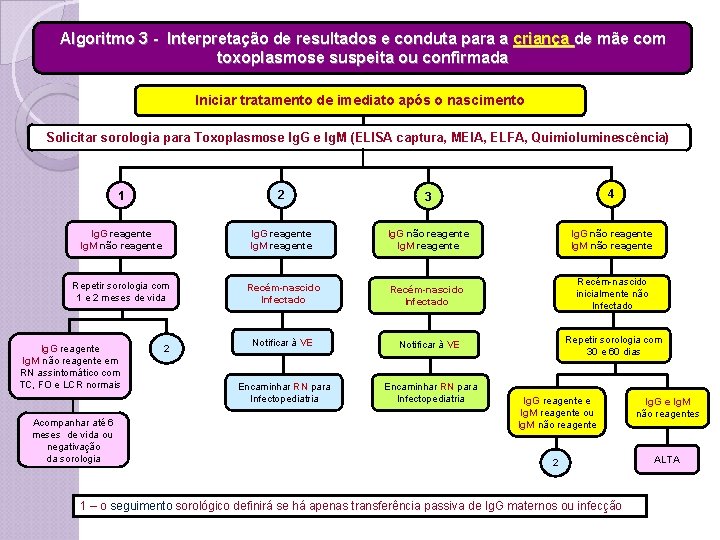 Algoritmo 3 - Interpretação de resultados e conduta para a criança de mãe com