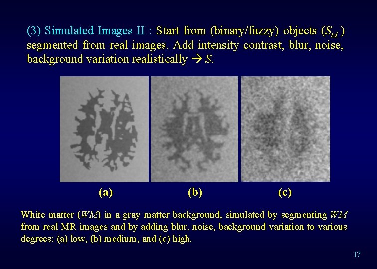 (3) Simulated Images II : Start from (binary/fuzzy) objects (Std ) segmented from real