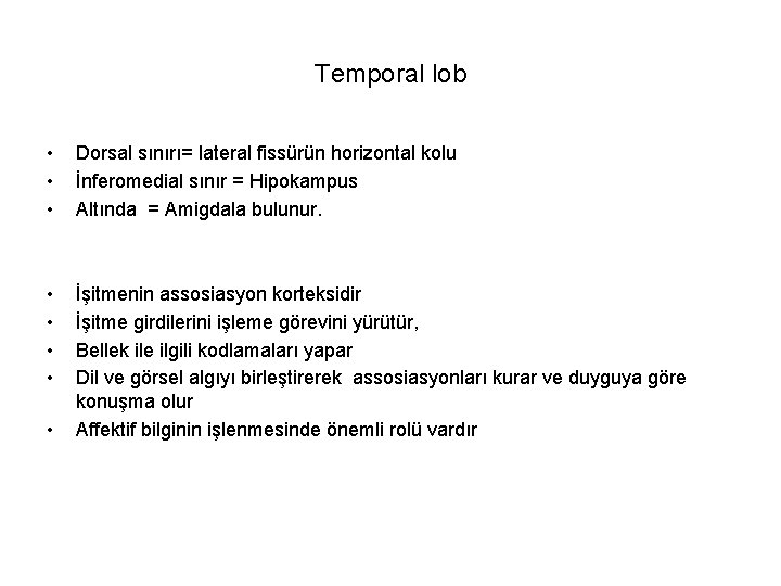 Temporal lob • • • Dorsal sınırı= lateral fissürün horizontal kolu İnferomedial sınır =