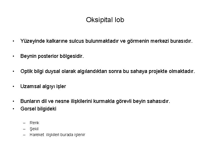 Oksipital lob • Yüzeyinde kalkarıne sulcus bulunmaktadır ve görmenin merkezi burasıdır. • Beynin posterior