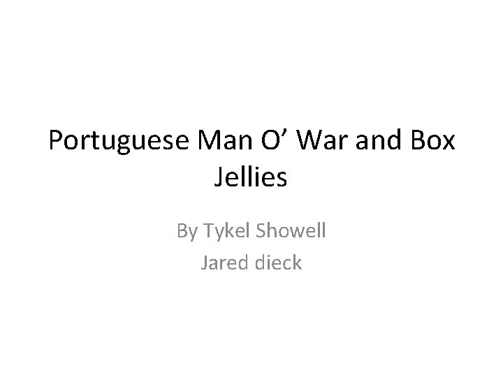 Portuguese Man O’ War and Box Jellies By Tykel Showell Jared dieck 