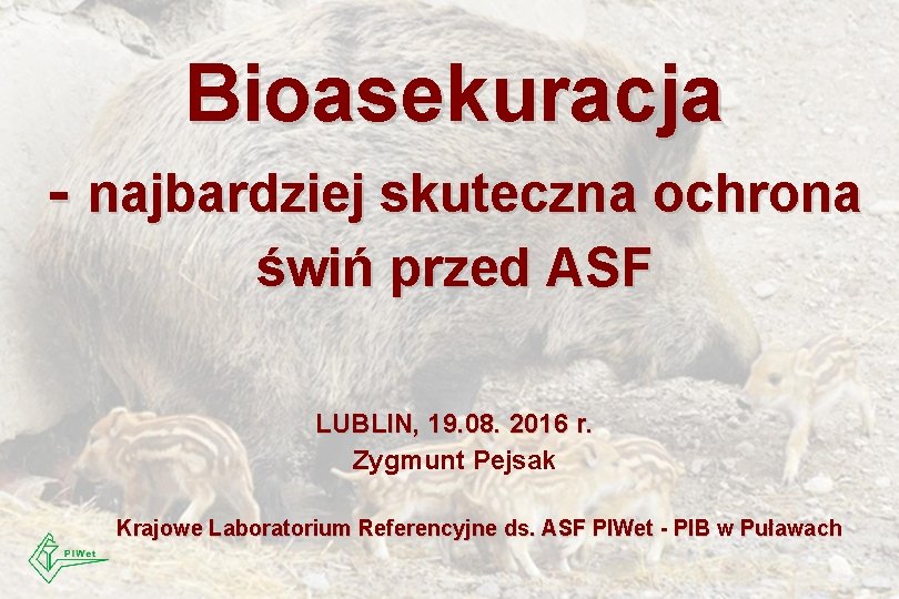 Bioasekuracja - najbardziej skuteczna ochrona świń przed ASF LUBLIN, 19. 08. 2016 r. Zygmunt