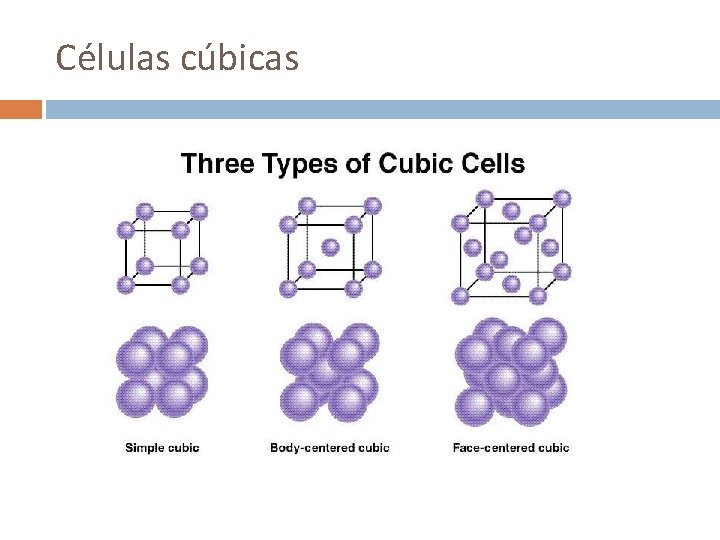 Células cúbicas 