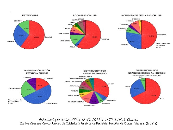 Epidemiología de las UPP en el año 2003 en UCIP del H de Cruces.