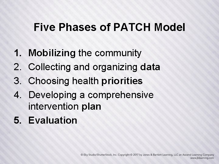 Five Phases of PATCH Model 1. 2. 3. 4. Mobilizing the community Collecting and