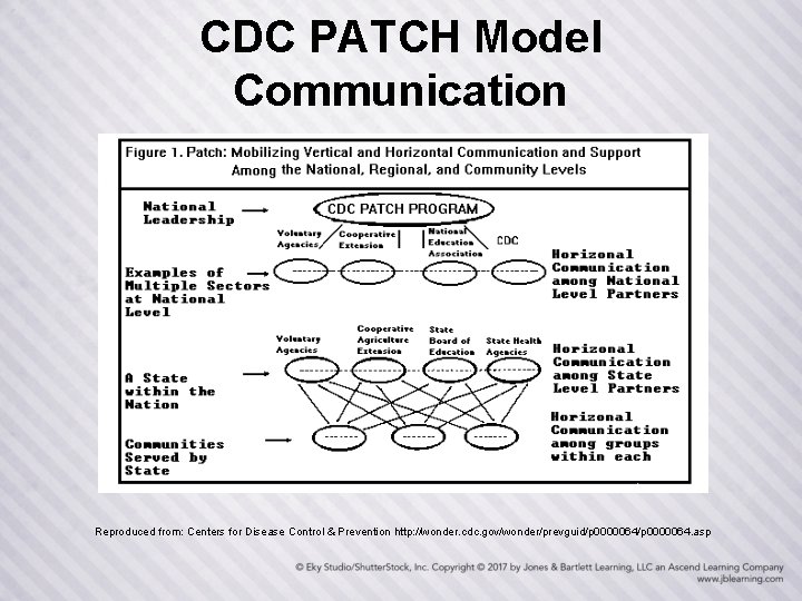 CDC PATCH Model Communication Reproduced from: Centers for Disease Control & Prevention http: //wonder.