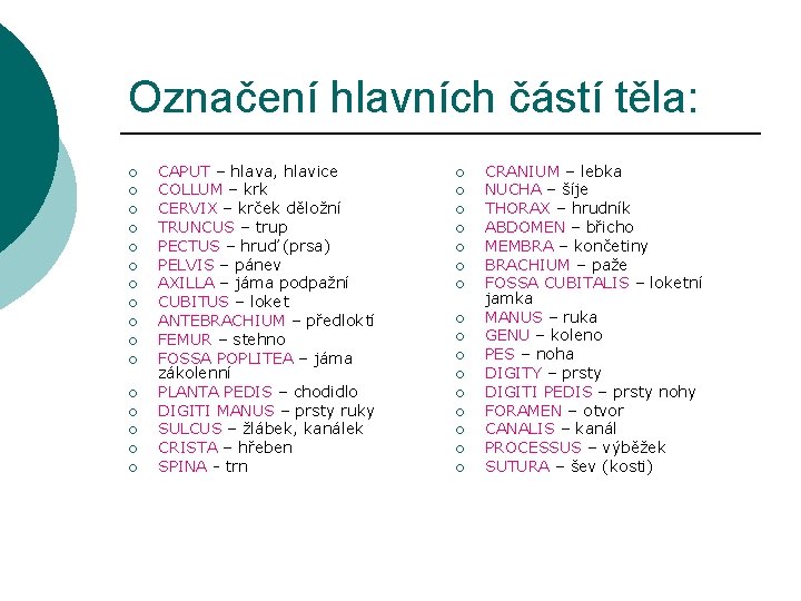 Označení hlavních částí těla: ¡ ¡ ¡ ¡ CAPUT – hlava, hlavice COLLUM –