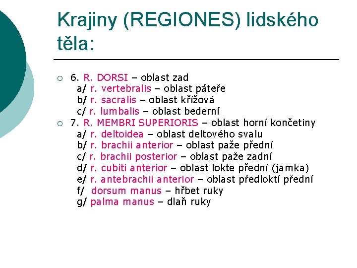 Krajiny (REGIONES) lidského těla: ¡ ¡ 6. R. DORSI – oblast zad a/ r.