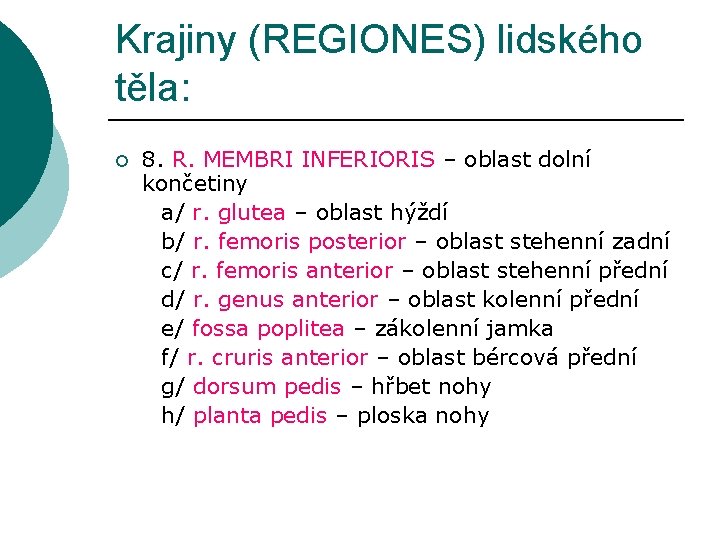 Krajiny (REGIONES) lidského těla: ¡ 8. R. MEMBRI INFERIORIS – oblast dolní končetiny a/
