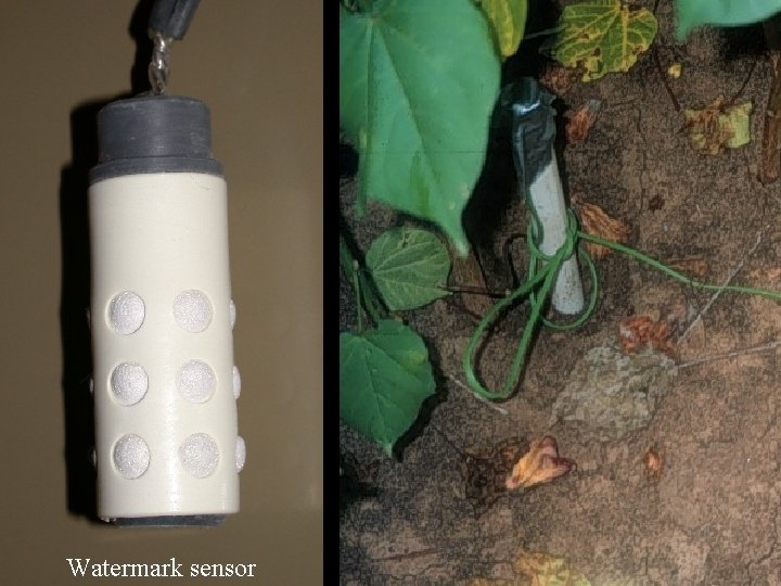 Watermark sensor 