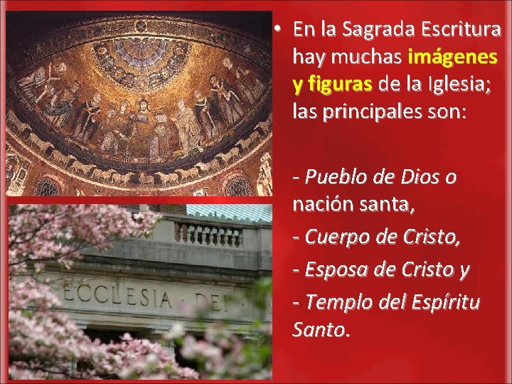  • En la Sagrada Escritura hay muchas imágenes y figuras de la Iglesia;