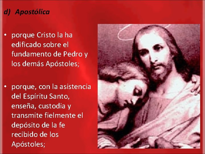 d) Apostólica • porque Cristo la ha edificado sobre el fundamento de Pedro y