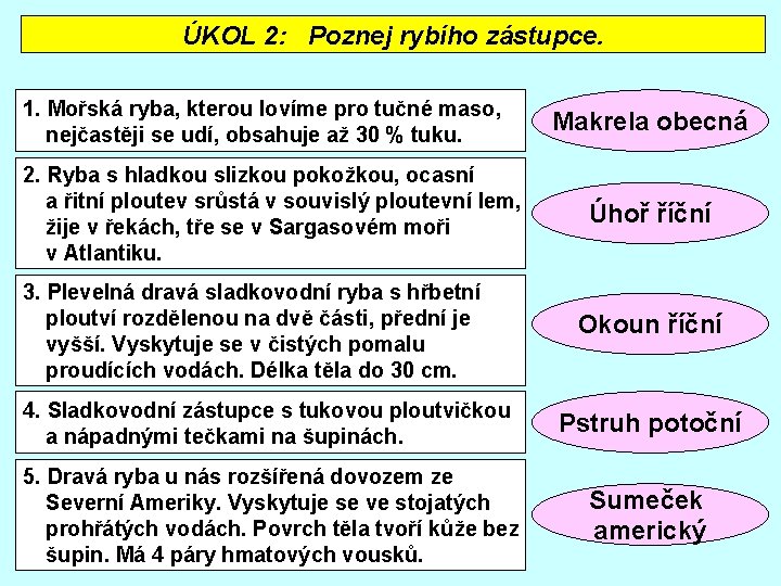 ÚKOL 2: Poznej rybího zástupce. 1. Mořská ryba, kterou lovíme pro tučné maso, nejčastěji