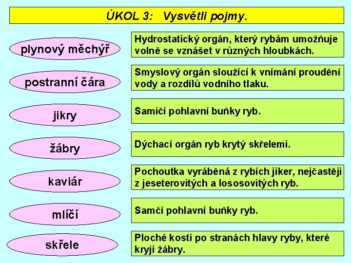 ÚKOL 3: Vysvětli pojmy. plynový měchýř Hydrostatický orgán, který rybám umožňuje volně se vznášet