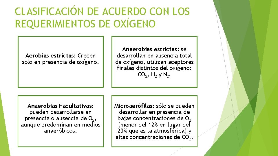 CLASIFICACIÓN DE ACUERDO CON LOS REQUERIMIENTOS DE OXÍGENO Aerobias estrictas: Crecen solo en presencia