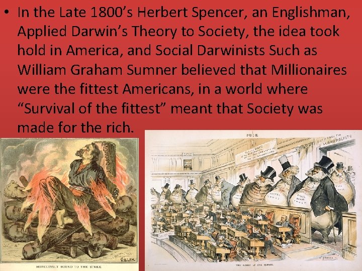  • In the Late 1800’s Herbert Spencer, an Englishman, Applied Darwin’s Theory to