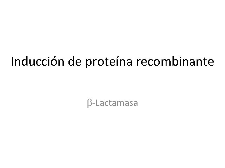 Inducción de proteína recombinante b-Lactamasa 
