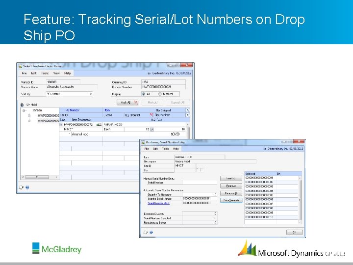 Feature: Tracking Serial/Lot Numbers on Drop Ship PO 