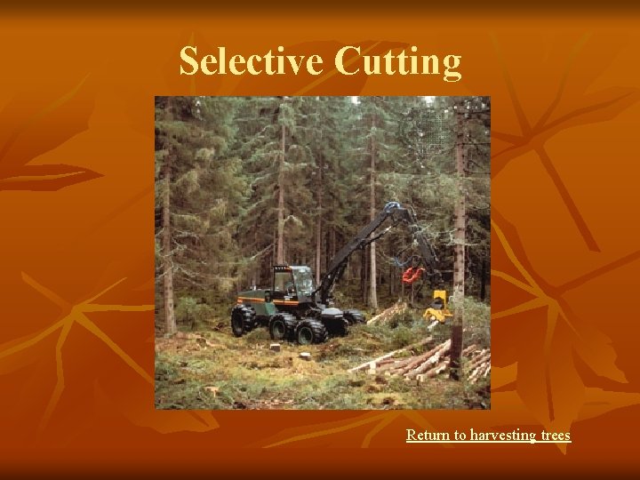 Selective Cutting Return to harvesting trees 
