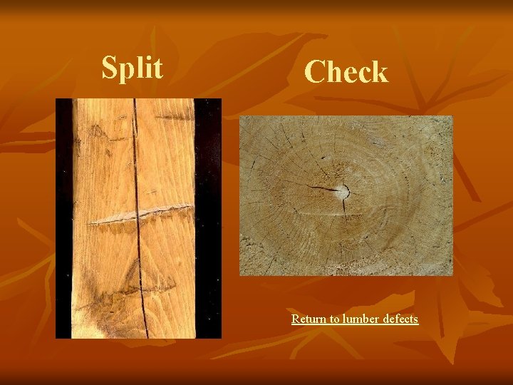 Split Check Return to lumber defects 