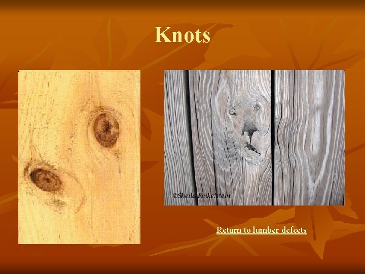 Knots Return to lumber defects 