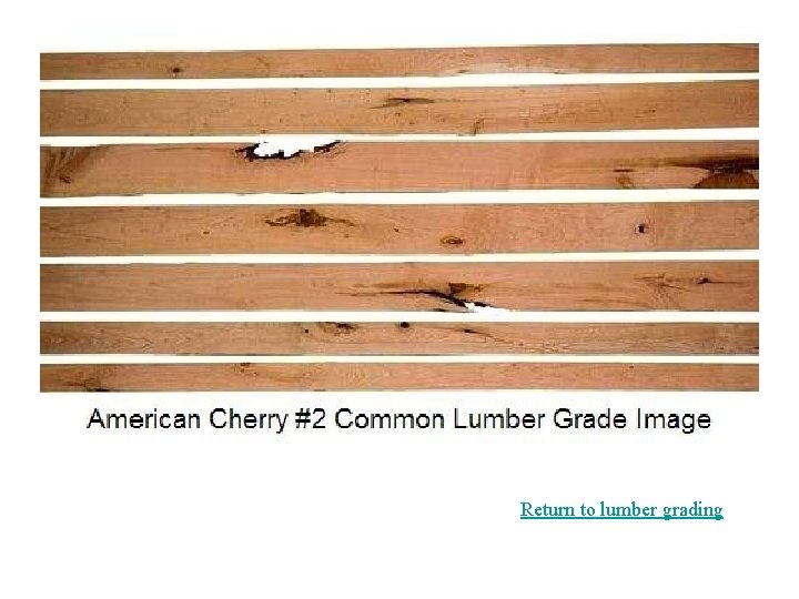 Return to lumber grading 