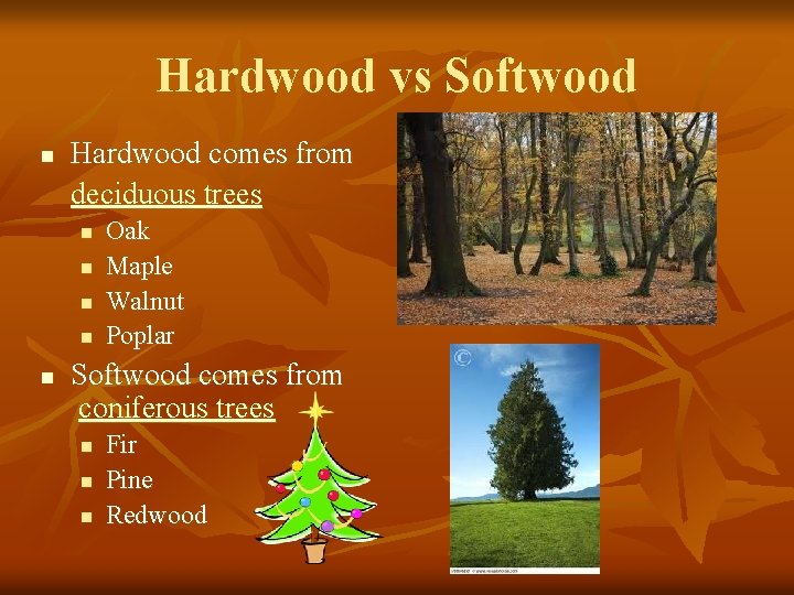 Hardwood vs Softwood n Hardwood comes from deciduous trees n n n Oak Maple